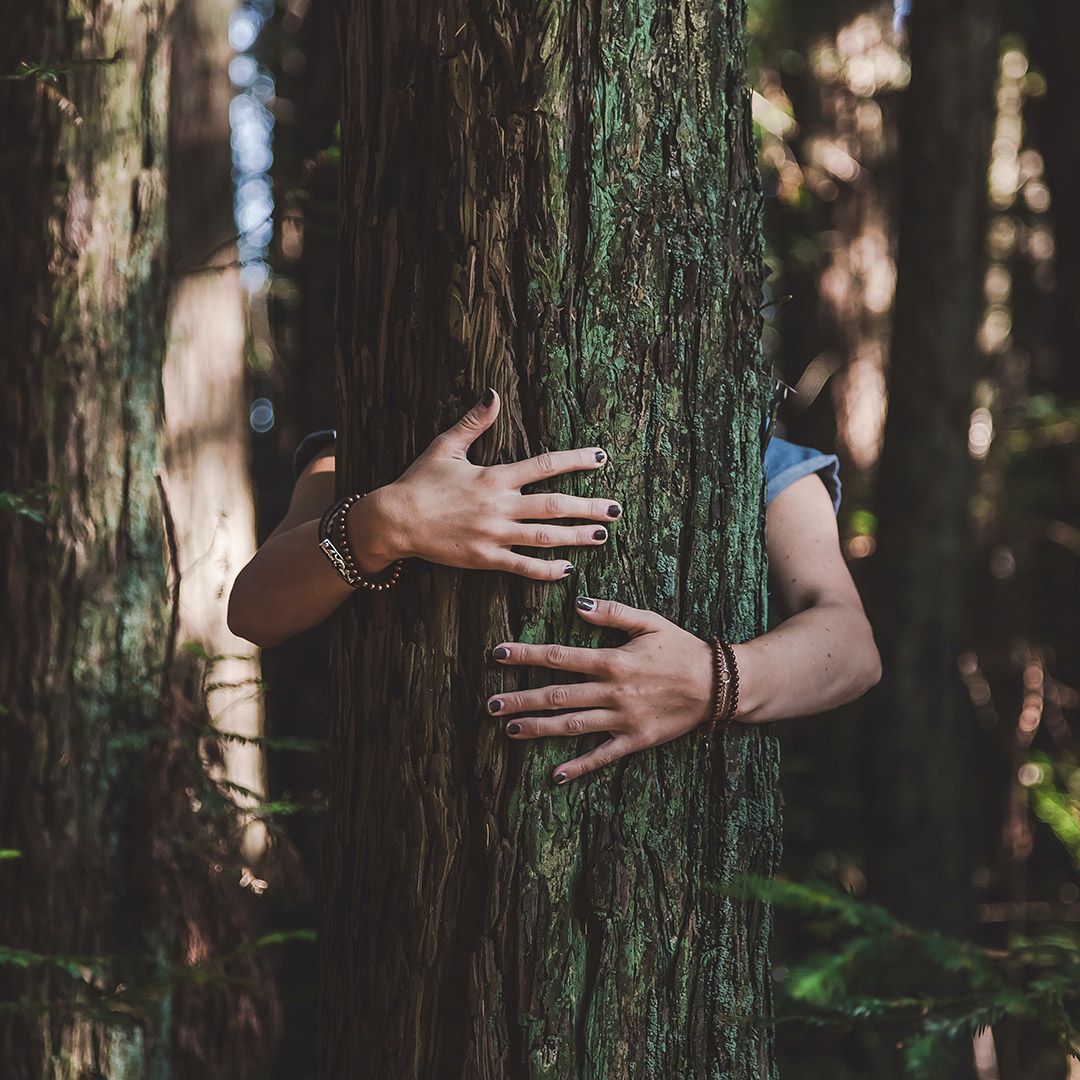 Ruce objímají strom